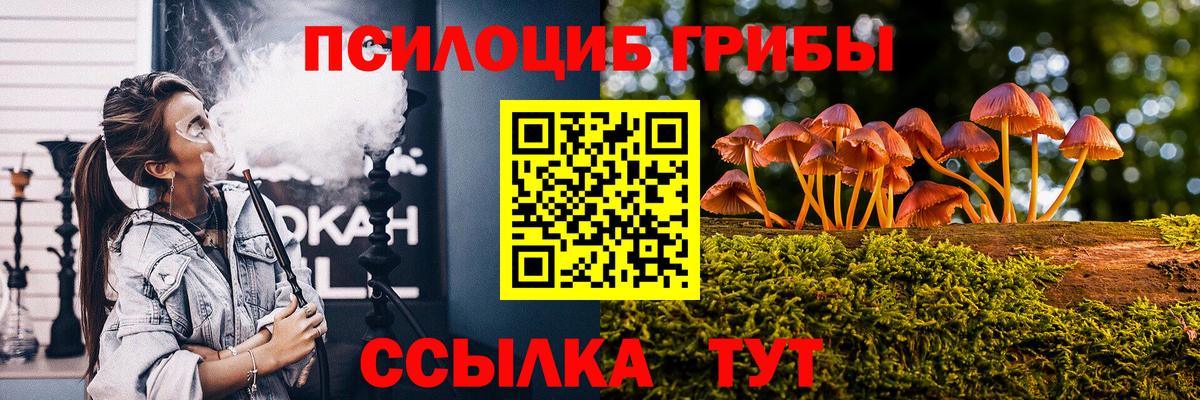 Псилоцибиновые грибы GOLDEN TEACHER  Вход с VPN  наркотики  Чита 